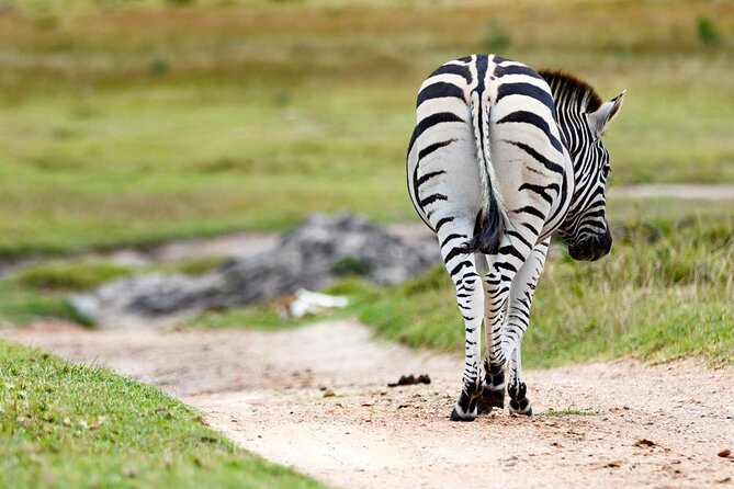 2hr Guided Game Drive at 10h00; Kragga Kamma Game Park Ticket - Key points to know before you book