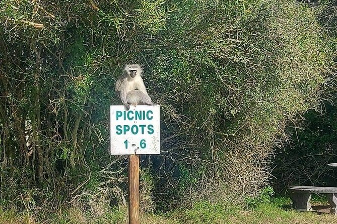 2hr Guided Game Drive at 10h00; Kragga Kamma Game Park Ticket - The cheetah enclosure and the park’s limits
