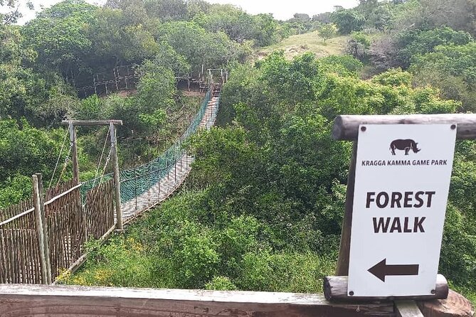 2hr Guided Game Drive at 10h00; Kragga Kamma Game Park Ticket - Entering the park and meeting the animals