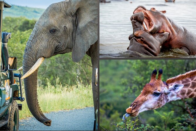 3 Day 2 Night Hluhluwe, St Lucia, Isimangaliso Tour - Why This Three-Day Route Works So Well