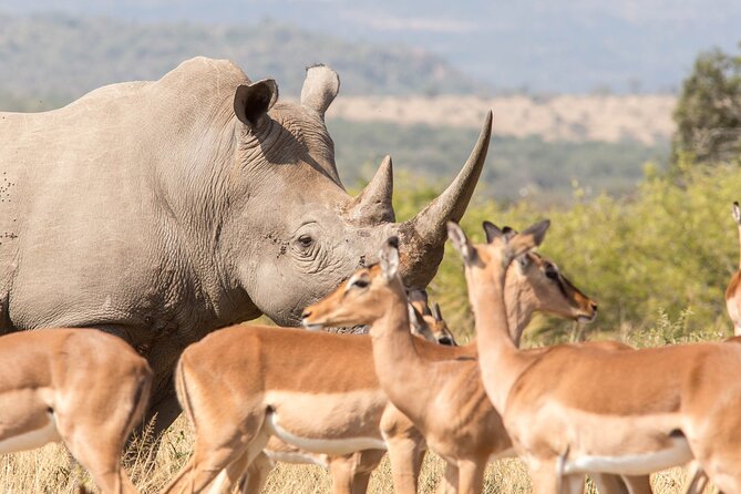 3 Day 2 Night Hluhluwe, St Lucia, Isimangaliso Tour - What the $355.56 Price Really Covers