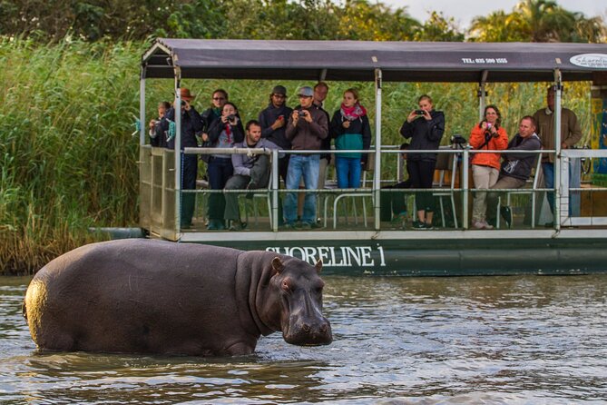3 Day 2 Night Hluhluwe, St Lucia, Isimangaliso Tour - Day 2: The Big Five at Hluhluwe-iMfolozi
