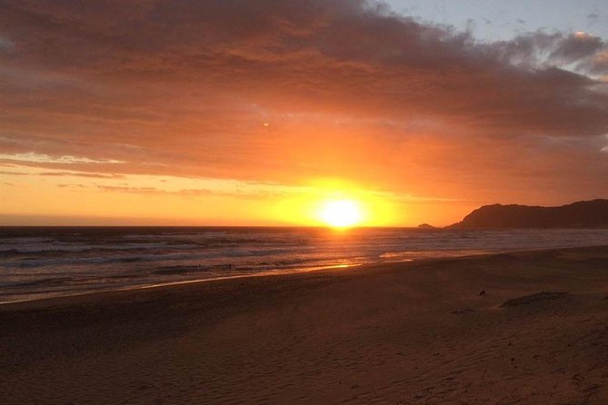 3 Day Big 5 and Bungee Tour - Garden Route Small Group Tour from Cape Town - Guides and the small-group atmosphere