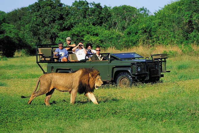 3 Day Big 5 and Bungee Tour - Garden Route Small Group Tour from Cape Town - Day one: Cape Town to safari country