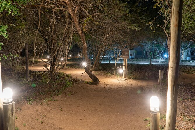 3 Day Dumela Tented Camp at Kruger National Park - What this three-day safari really offers