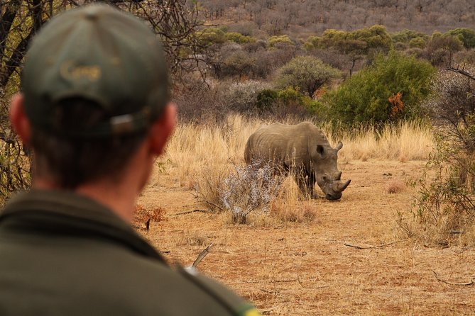 3 Day Garden Route Highlights and Safari with Private Transfers - Is the $1,096.65 price good value?