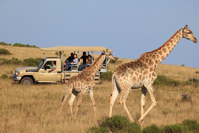 3 Day Garden Route's Best Highlights with Safari from Cape Town - Evening near Sedgefield or Wilderness