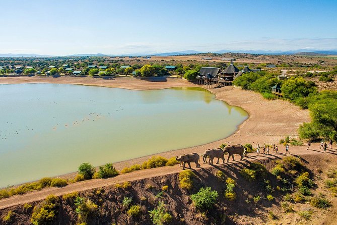 3 Day Garden Route's Best Highlights with Safari from Cape Town - Day 3: Botlierskop safari and the return to Cape Town