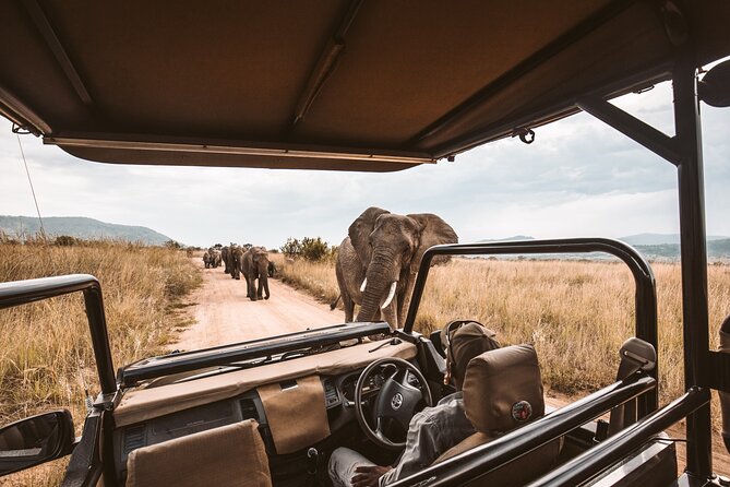 3 Day Garden Route Tour - Ostrich country is more interesting when you understand the industry