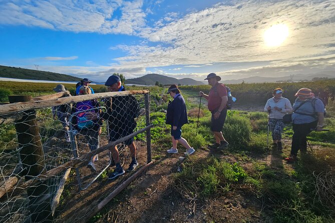 3 Day - Guided Private Wine Walk Trails and Fossil Hunt - Key points at a glance
