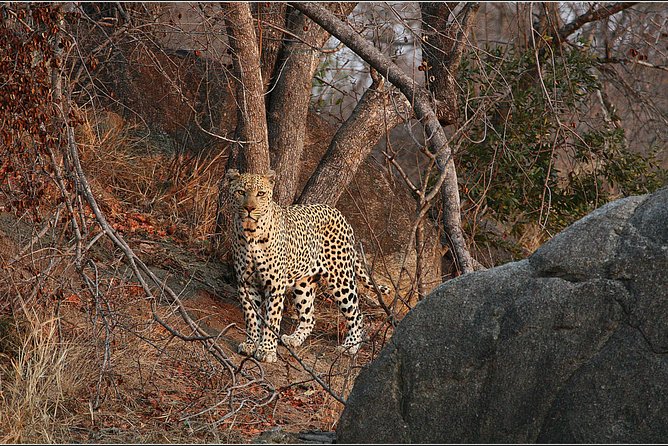 3 Day Kruger National Park and Crocodile River Safari - Why the Crocodile River makes this safari special