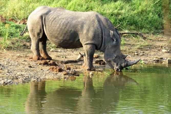 3 Day Kruger National Park and Crocodile River Safari - What the $1,276.14 price really buys you