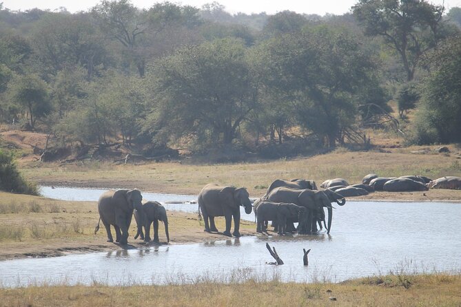 3 Day Kruger National Park and Crocodile River Safari - Practical details that affect your decision