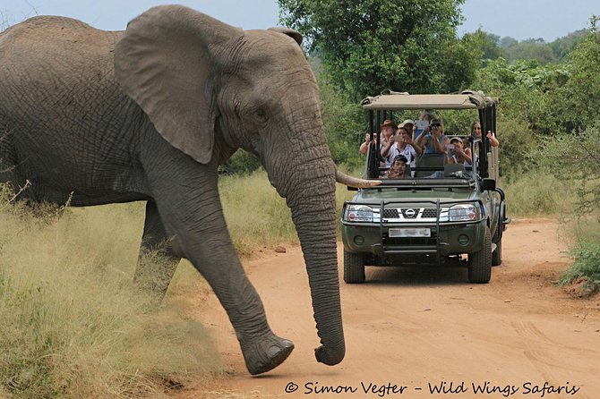 3-Day Kruger National Park Open Vehicle Safari - Why three days in Kruger can work well