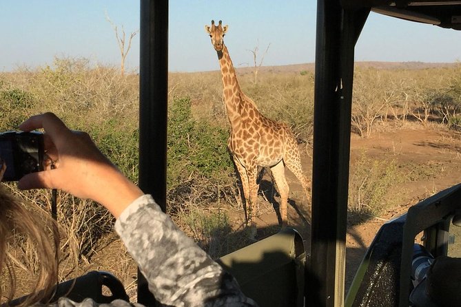 3-Day Kruger National Park Open Vehicle Safari - The Johannesburg start: an early pickup near O.R. Tambo