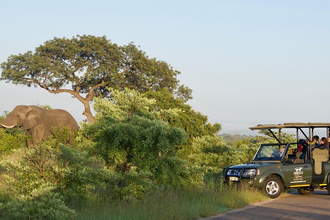 3-Day Kruger National Park Safari including Breakfast and Dinner - Day two: the main full-day safari