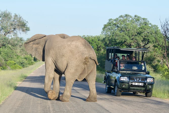 3-Day Kruger National Park Safari including Breakfast and Dinner - From OR Tambo to the Mpumalanga bush