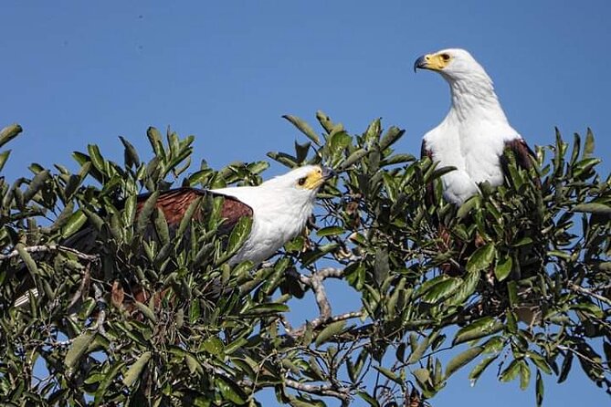 3 Day Kruger National Park Safari & Panorama Route - Why this three-day Kruger trip works
