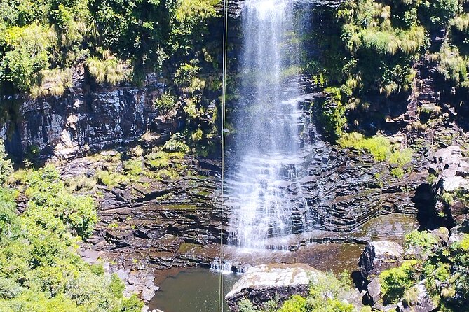 3 Day Kruger National Park Safari & Panorama Route - Day 3: God’s Window, Blyde River Canyon, and Pilgrim’s Rest