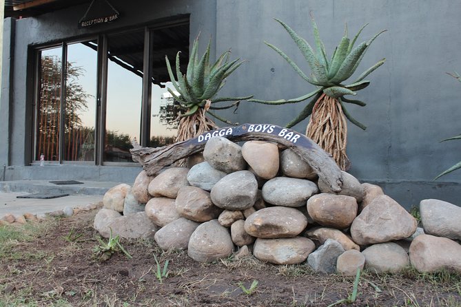 3 Day Lodge/Masango Kruger National Park Safari - Day two: the full Kruger National Park safari