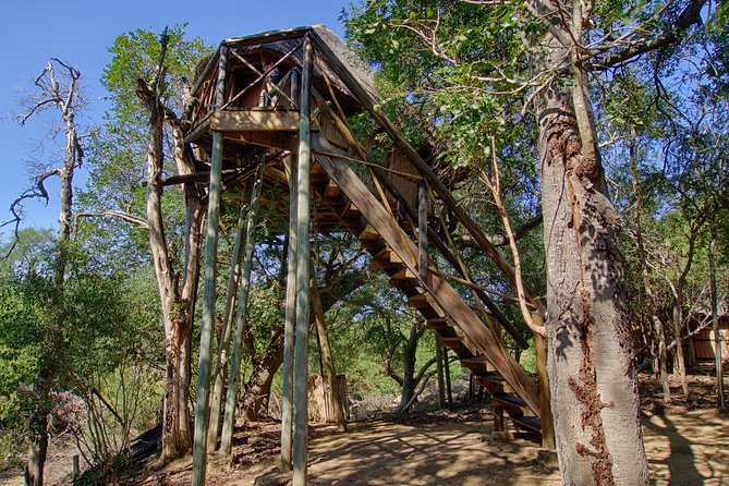 3 Day Lodge/Treehouse Kruger National Park Safari - Why this three-day Kruger safari works
