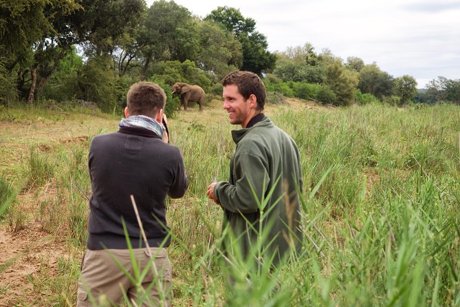 3 Day Lodge/Treehouse Kruger National Park Safari - Three Rondawels and the return to Johannesburg