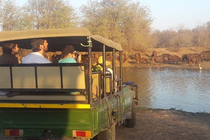 3 Day Lodge/Treehouse Kruger National Park Safari - Who will enjoy this trip most