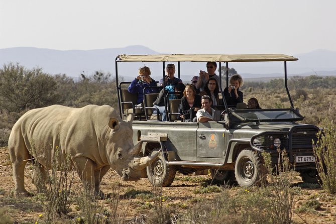 3 Day Luxury Aquila Private Game Reserve - Food, pricing, and what is included