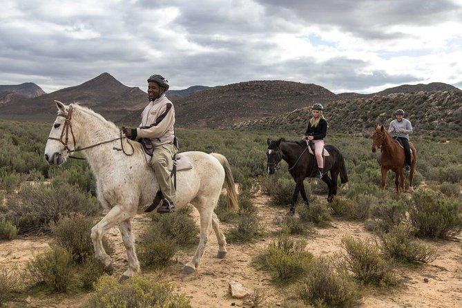3 Day Luxury Aquila Private Game Reserve - The drive from Cape Town and the noon arrival
