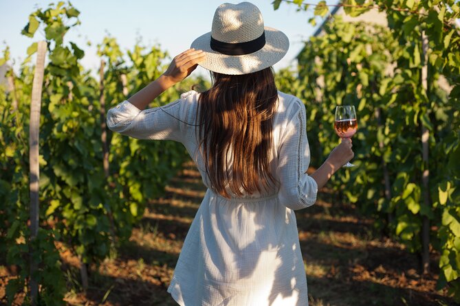 3-Day Private Guided Tour to Cape Town Top Attractions - Day 2: Three wine estates and a cheetah center