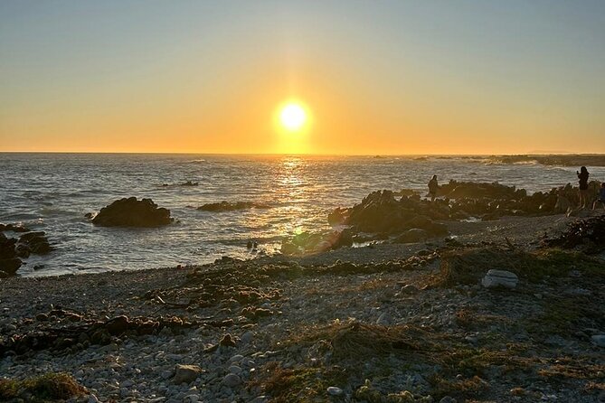 3 Day Safari and Coastal Tour from Cape Town - The guide makes a practical difference