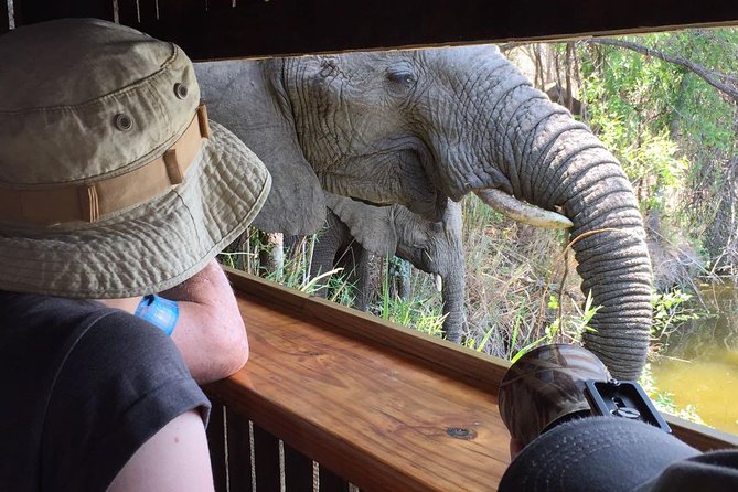 3-Day Tour of Kruger National Park from Skukuza Airport - Key points at a glance