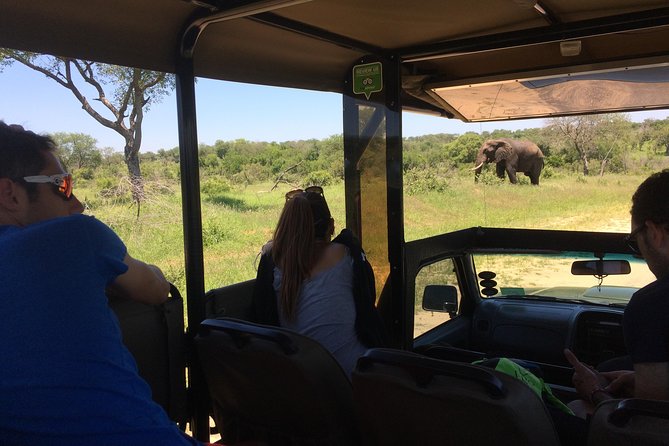 3-Day Tour of Kruger National Park from Skukuza Airport - Why Skukuza Airport makes this safari efficient