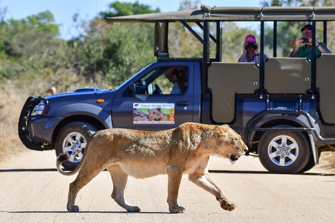 3-Day Tour of Kruger National Park from Skukuza Airport - What the open vehicle changes