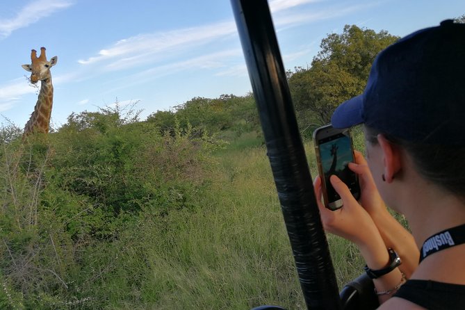 3-Day Tour of Kruger National Park from Skukuza Airport - Animals you may search for in southern Kruger