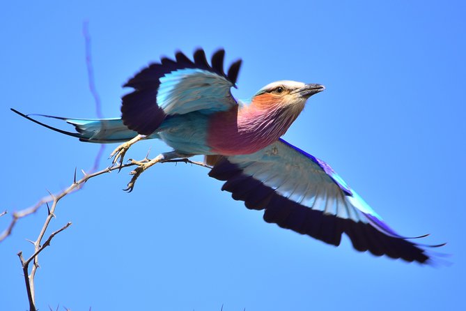 3-Day Tour of Kruger National Park from Skukuza Airport - Is $1,175.56 a fair price?