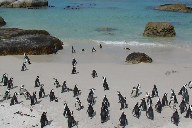 3 Day Wildlife Safari Tour - Garden Route Small Group Tour from Cape Town - The guide and group size matter