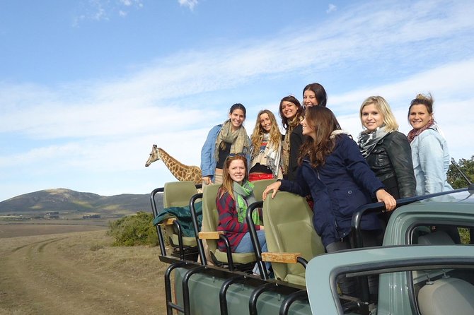 3 Day Wildlife Safari Tour - Garden Route Small Group Tour from Cape Town - Day 2: Private-reserve safari and Indalu elephants