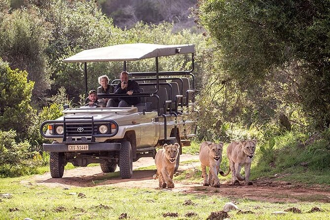 3 Days 2 Nights Garden Route Private Tour from Cape Town - The long run from Cape Town to Botlierskop