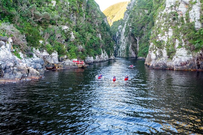 3 Days 2 Nights Garden Route Private Tour from Cape Town - Birds of Eden and Monkeyland add variety