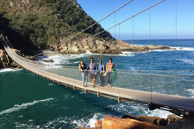 3 Days 2 Nights Garden Route Private Tour from Cape Town - Cango Wildlife Ranch and the ethics question