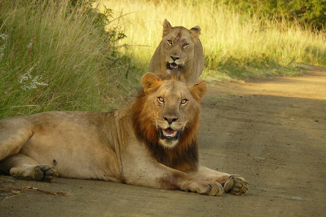 3 Days Durban Safari Tour Package - Day 2: The main game-drive day