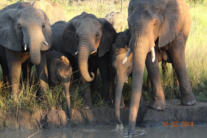 3 Days Durban Safari Tour Package - Day 3: A final drive, then St Lucia by boat