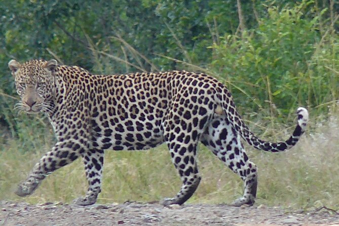 3 Days Durban Safari Tour Package - What the $685.10 price really covers