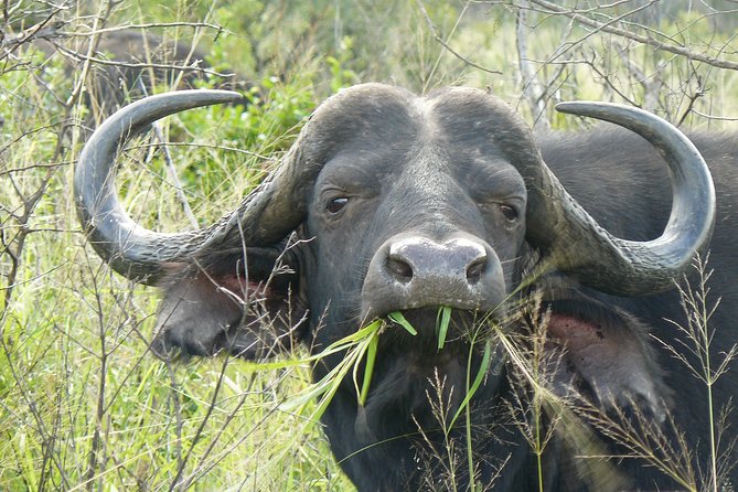 3 Days Durban Safari Tour Package - Comfort, luggage, and the pace of the trip