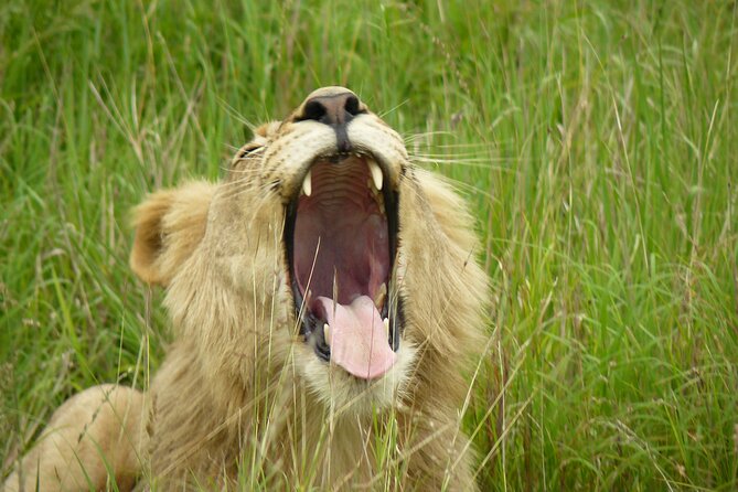 3 Days Durban Safari Tour Package - Who should choose this safari