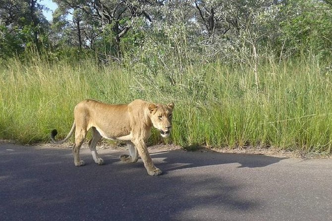 3 Days Johannesburg - Kruger Safari- Blyde River Canyon - Practical details before you go