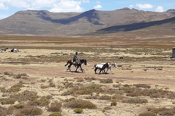 3 days Lesotho Private Tour, Sani Pass and Maletsunyana Falls - What the private guiding adds