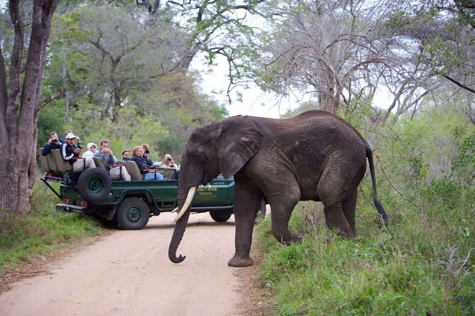 3-Days Ultra Luxury Safari at Kapama River Lodge - From Johannesburg to the Lowveld