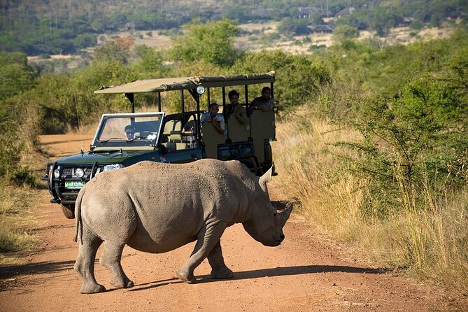 3-Hour Private Game Drive in Pilanesberg National Park - The value of $216.39 per person